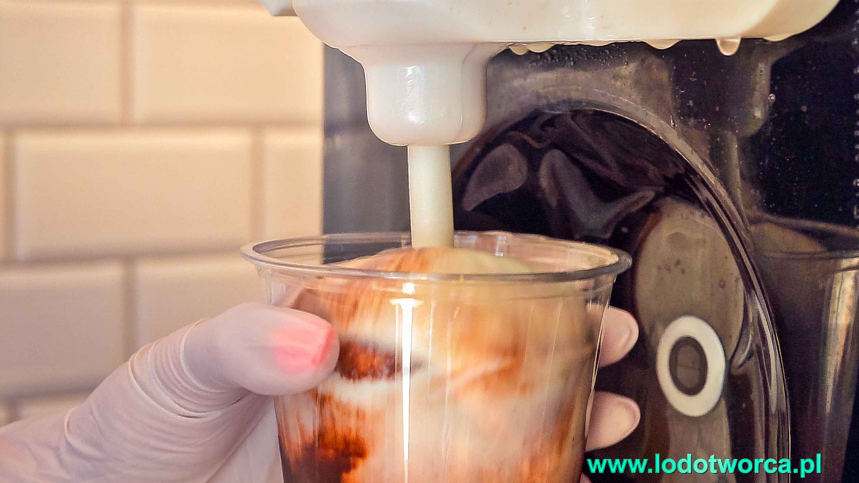 Lody Rzeszów lodziarnia Podkarpacie sorbety milk shake lody włoskie desery lodowe jogurteria gofry flurry lód lodziarnie smoothies shakes świderki fit granita lemoniada gelato rurki z kremem sandaes.jpg