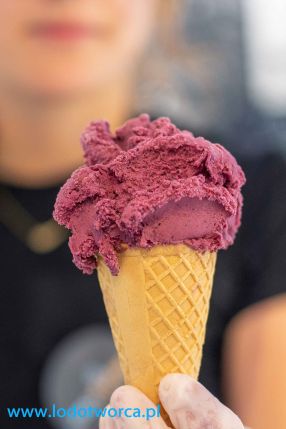 Niezwykłe lody Rzeszów