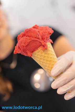 Zachwycające lody Rzeszów