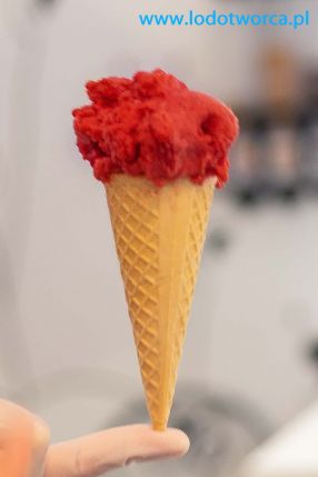 Lody Rzeszów najdoskonalsza lodziarnia