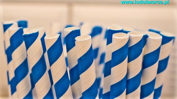 Lody Rzeszów najsmaczniejsza lodziarnia